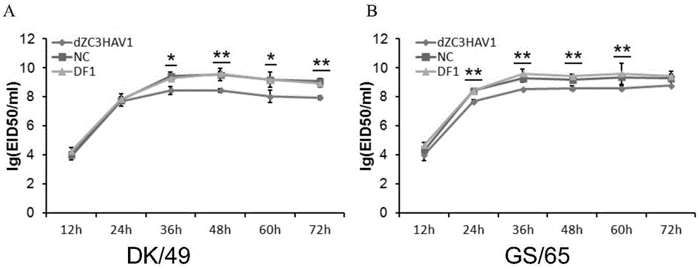 ZC3HAV1 gene and application thereof