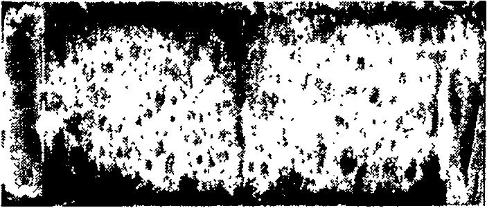 Intelligent processing method for repairing concrete crack surface image