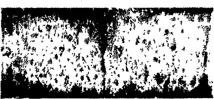 Intelligent processing method for repairing concrete crack surface image