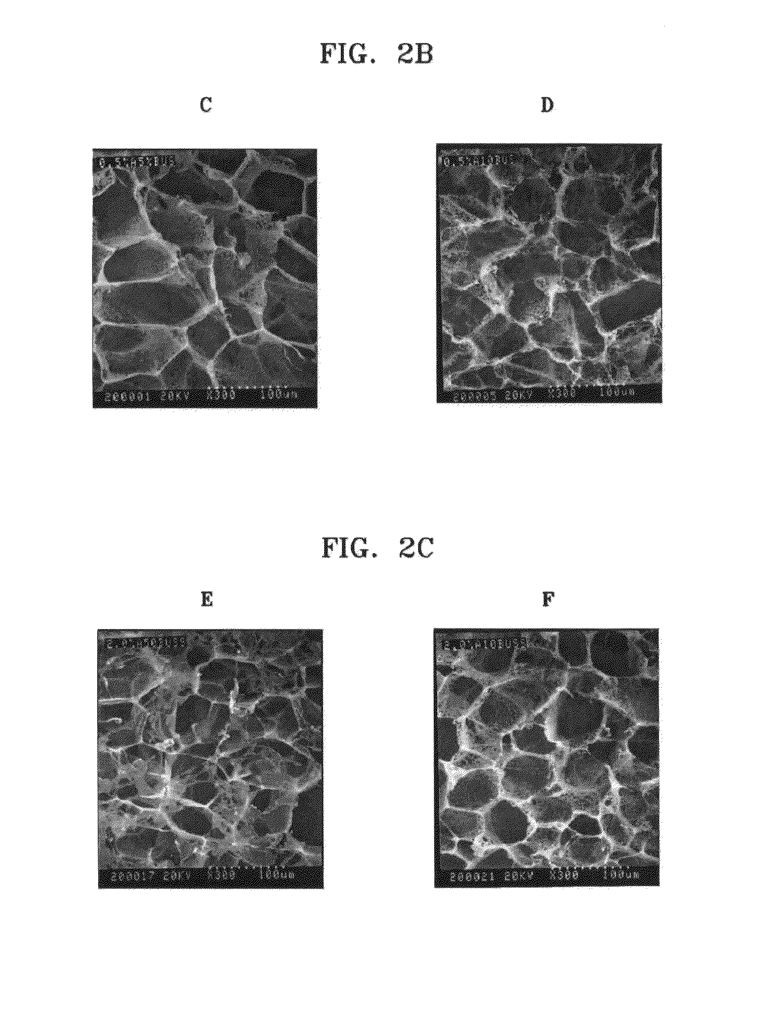 Method of producing chitosan scaffold having high tensile strength and chitosan scaffold produced using the method