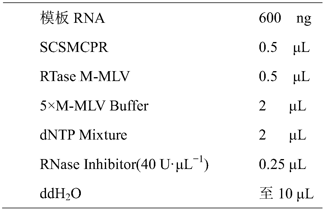 Sugarcane streak mosaic virus double-antibody sandwich enzyme-linked immunosorbent assay kit as well as preparation method and detection method of kit