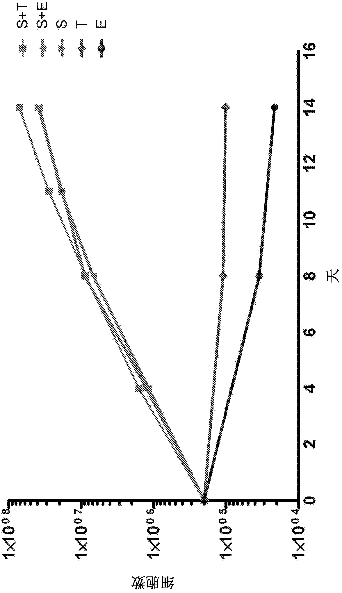 Polynucleated megakaryocytic cell and method for manufacturing platelets