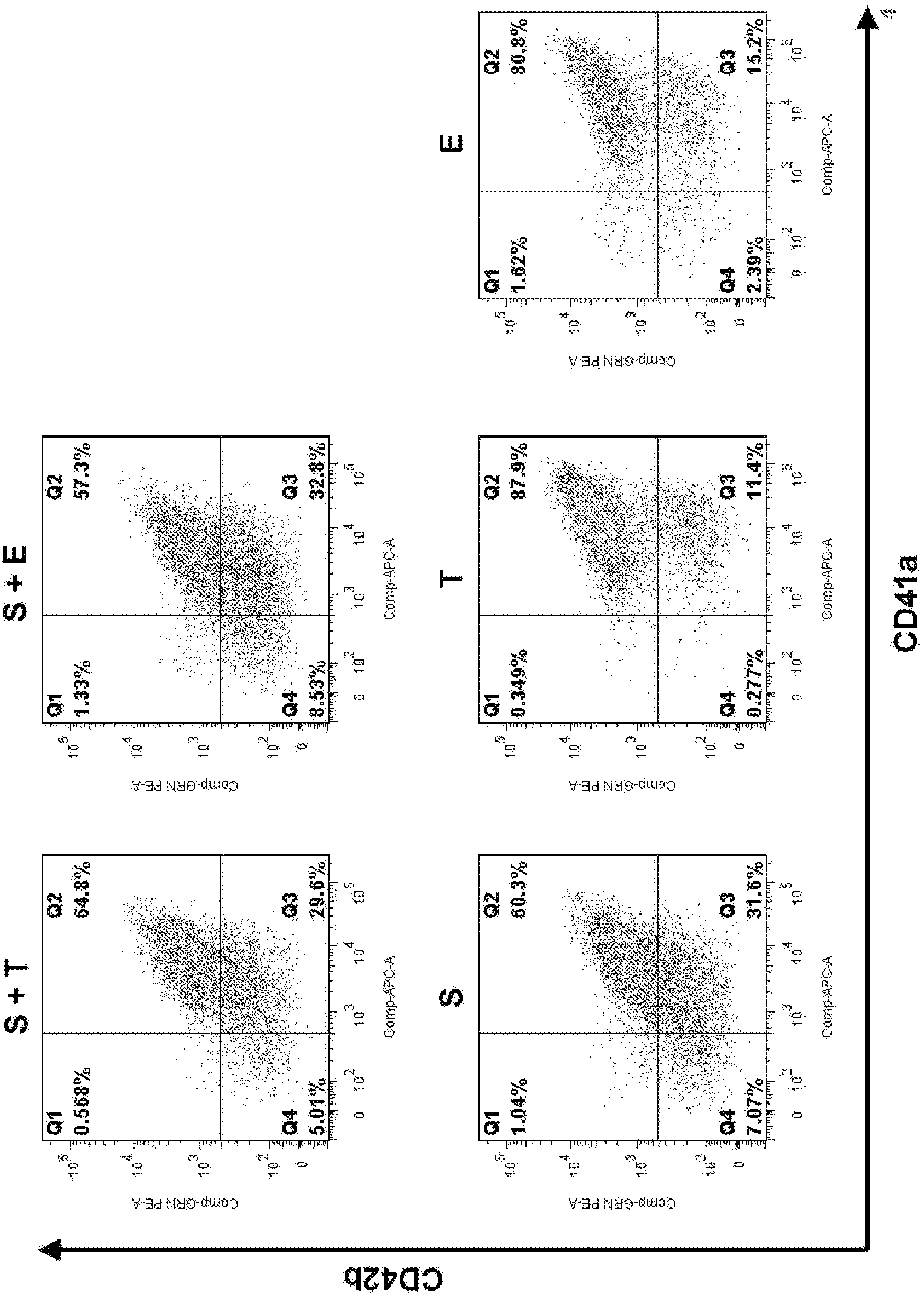 Polynucleated megakaryocytic cell and method for manufacturing platelets