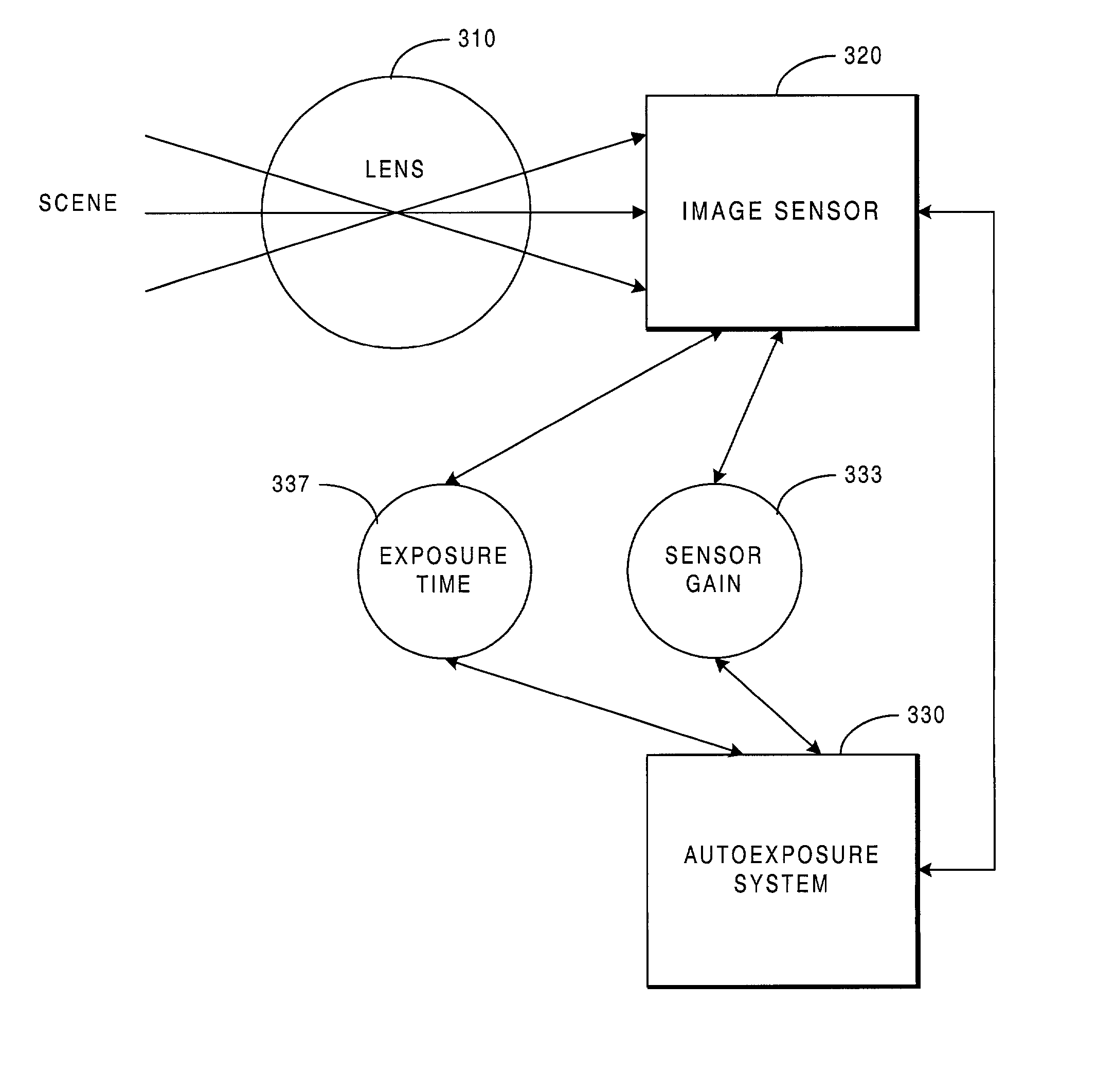 Autoexposure methodology in a digital camera