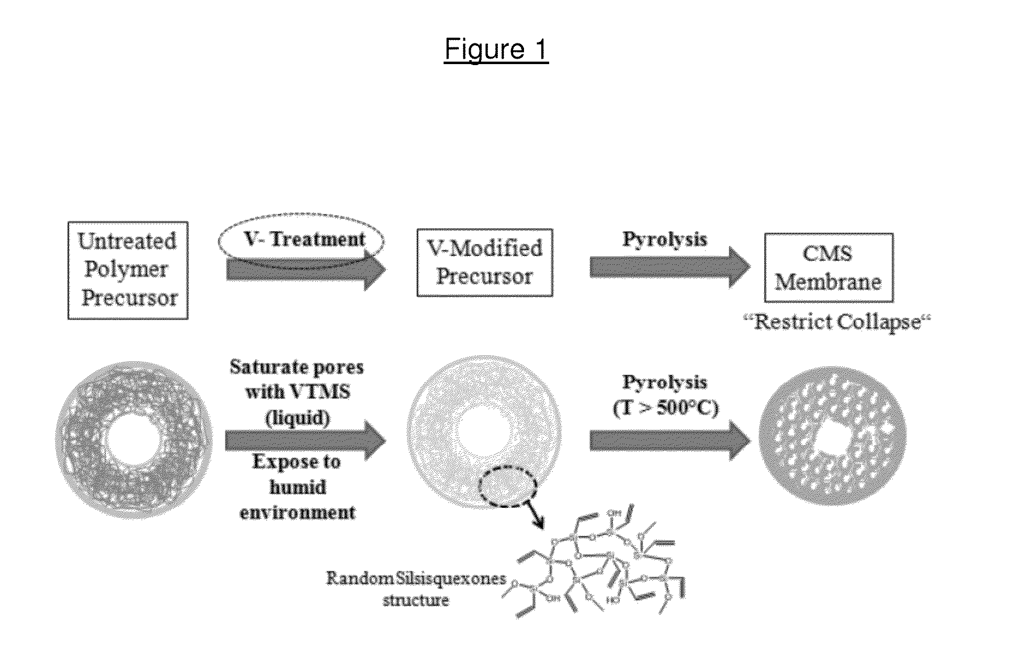 Asymmetric Modified Carbon Molecular Sieve Hollow Fiber Membranes Having Improved Permeance