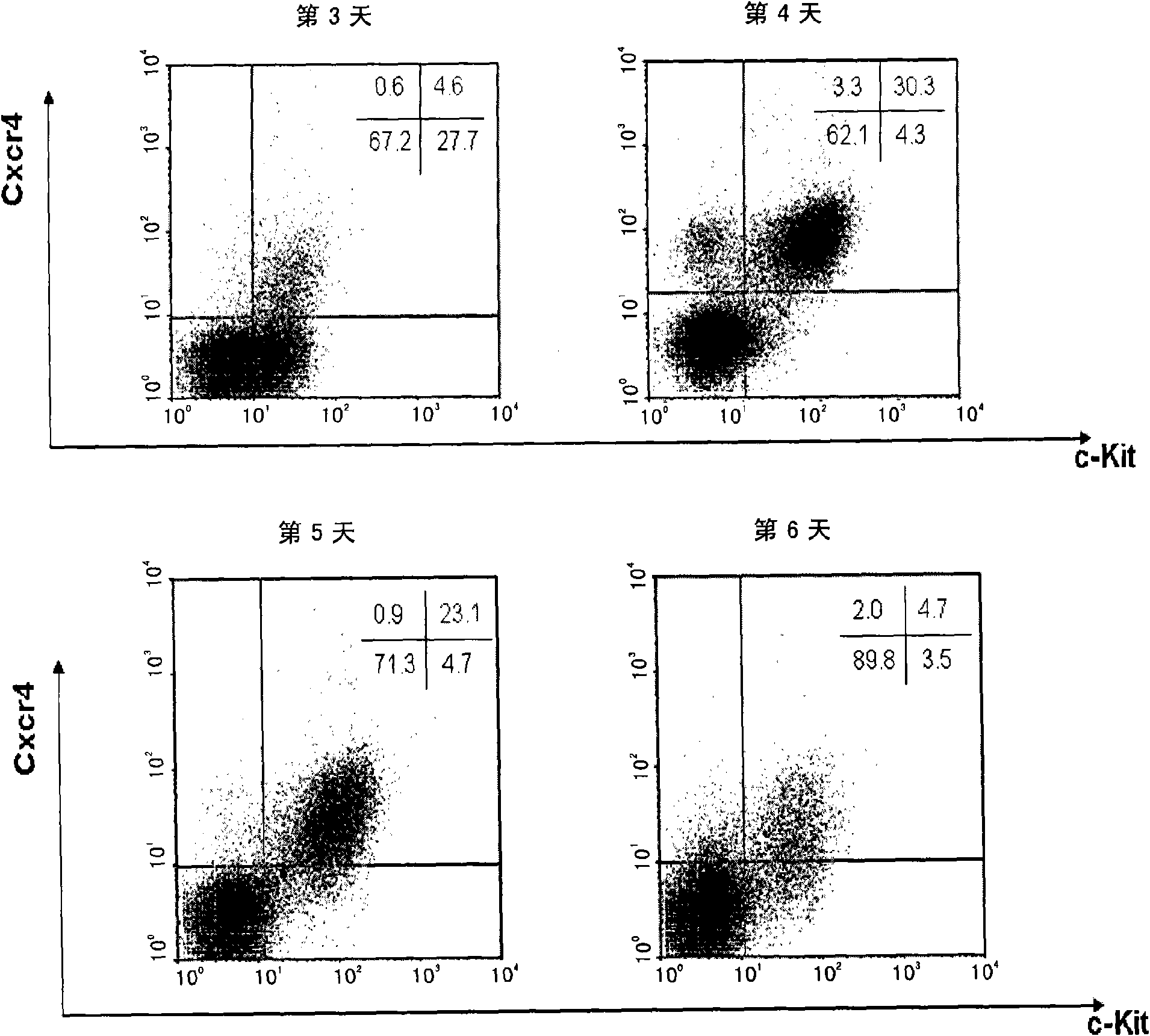 Method for preparing and separating definitive endoderm