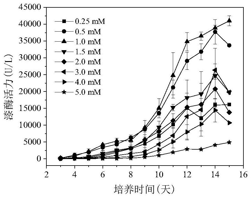 Laccase-producing Coriolopsis gallica NCULAC F1 and method for preparing high-activity laccase liquid