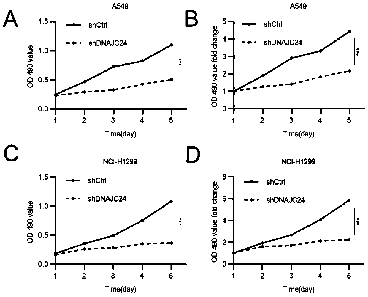 Application of human DNAJC24 gene and related products