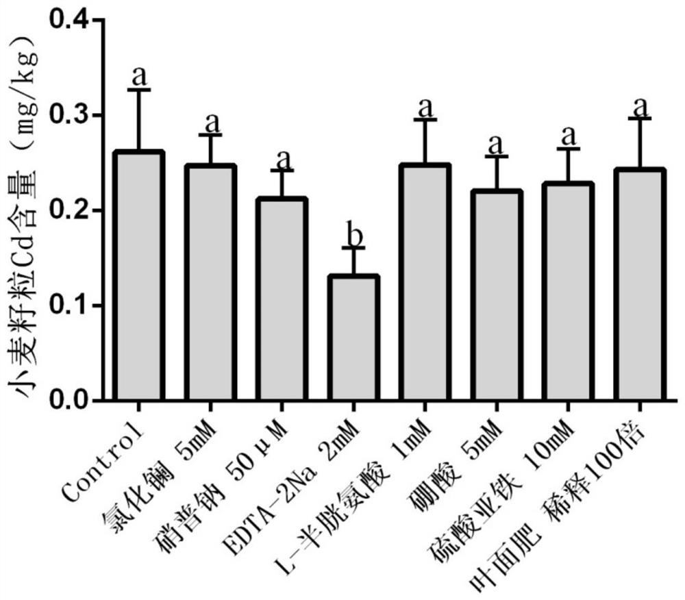 A foliar barrier agent for inhibiting the absorption and transport of heavy metal cadmium by wheat grains and its use, research methods and applications