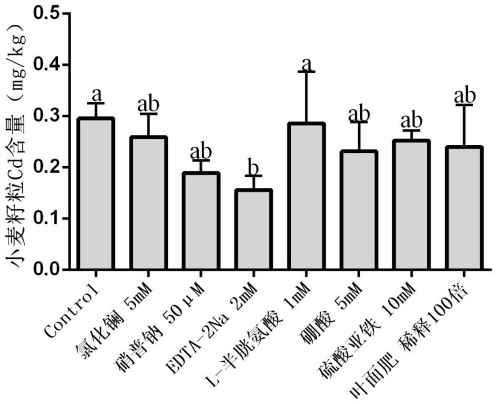 A foliar barrier agent for inhibiting the absorption and transport of heavy metal cadmium by wheat grains and its use, research methods and applications