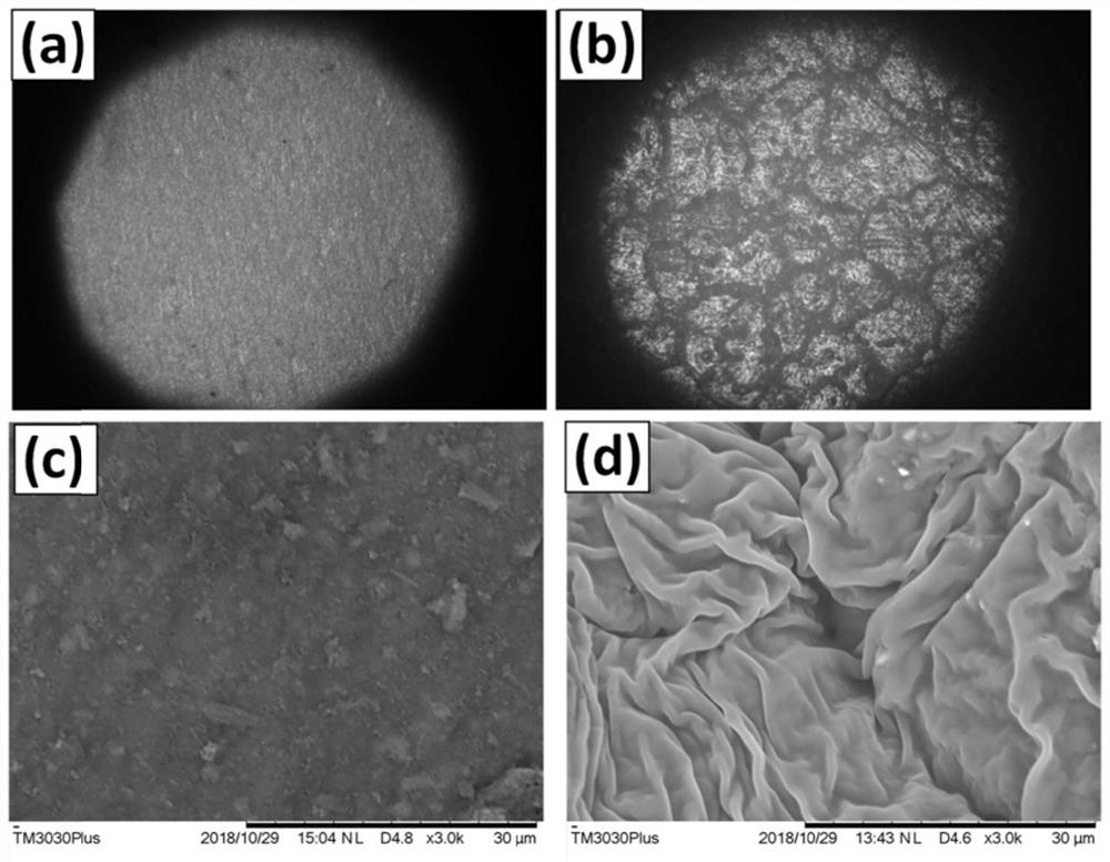 A kind of all-solid-state lithium metal-sulfur battery and its preparation method