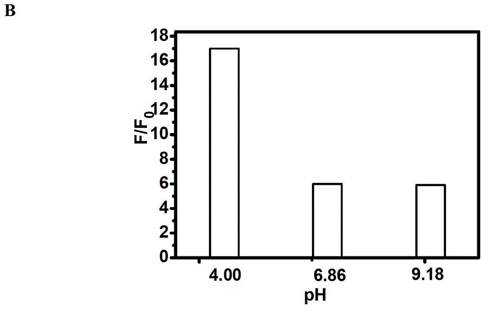 Fluorescent compound and application in ruthenium detection