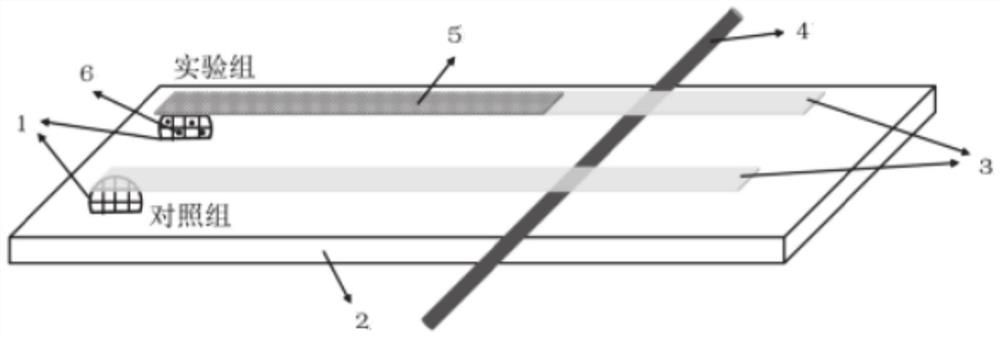 Detection method of biomolecules and inhibitor molecules