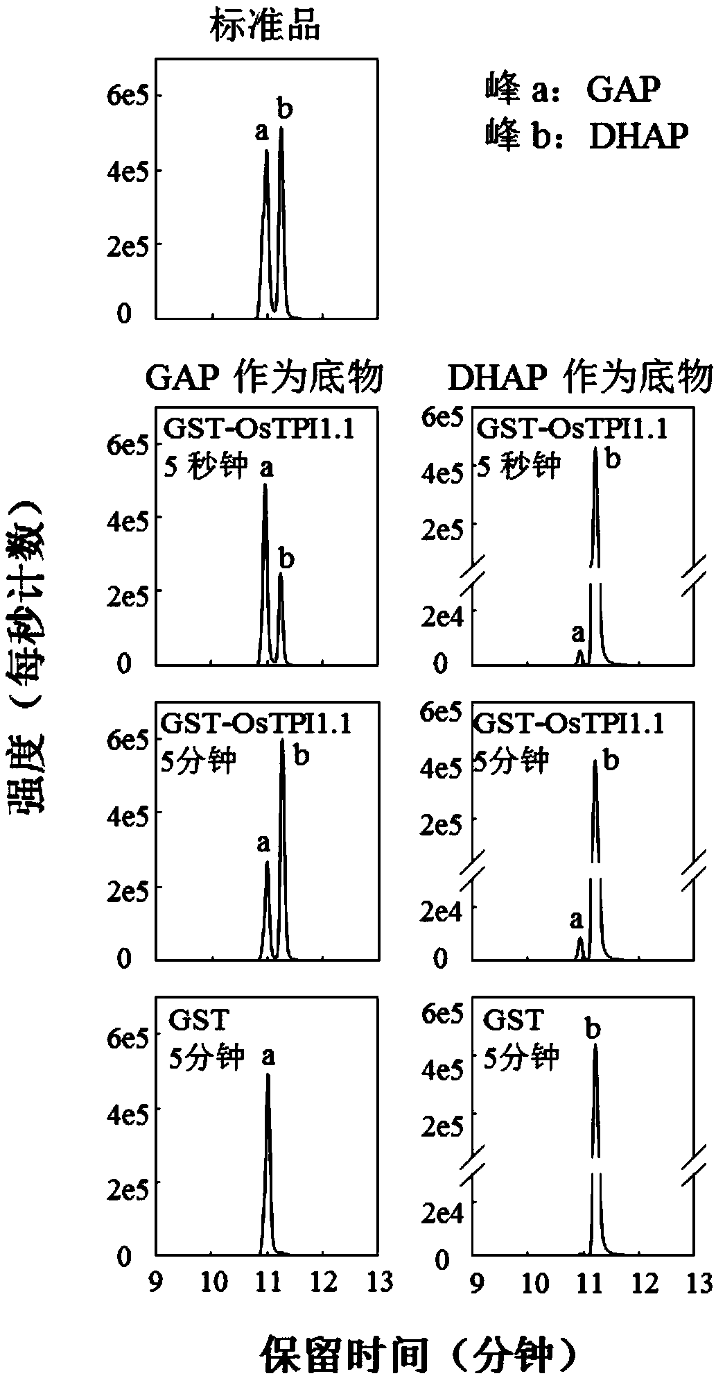 Application of rice gene OsTPI1-1 to rice disease resistance improvement