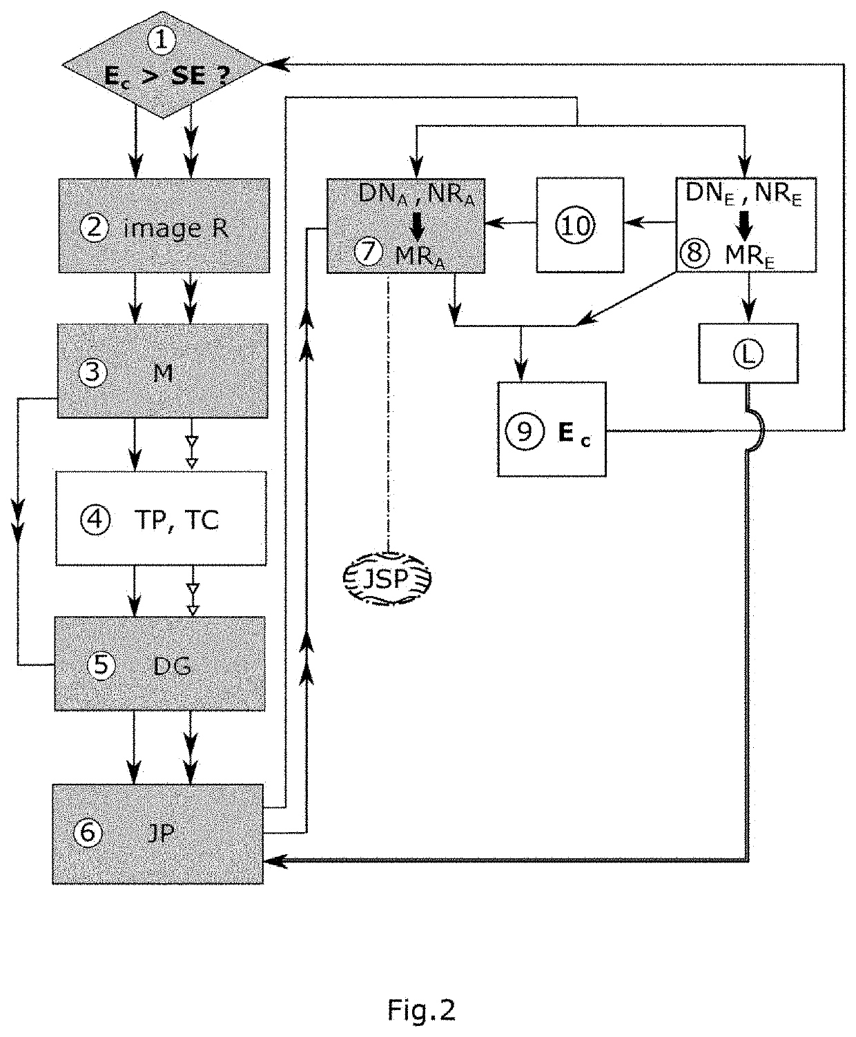 System and method for evaluating vascular risks