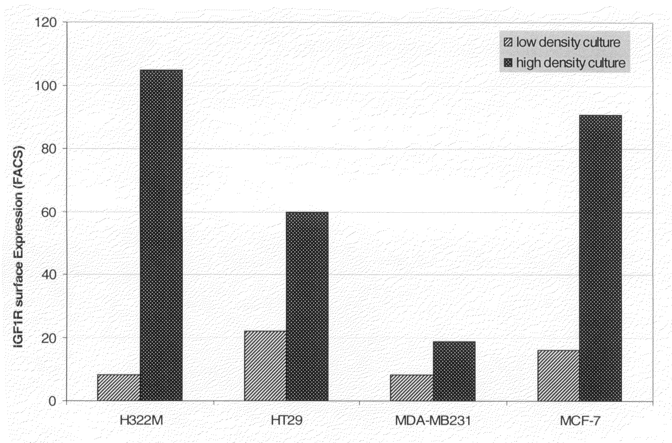 Antibodies against insulin-like growth factor i receptor and uses thereof