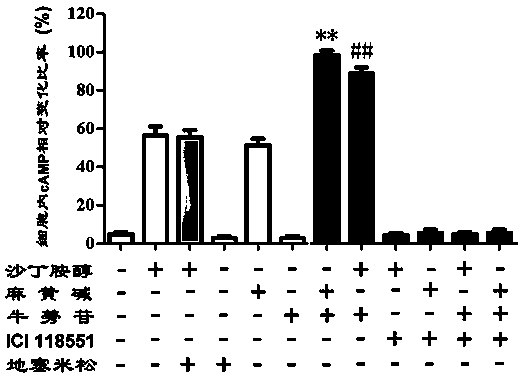 Medicine for treating chronic respiratory diseases and preparation method of medicine