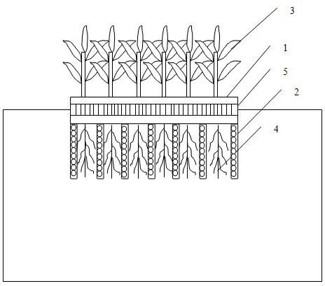 Artificial floating bed for repairing ecological environment of culture pool and realization method thereof