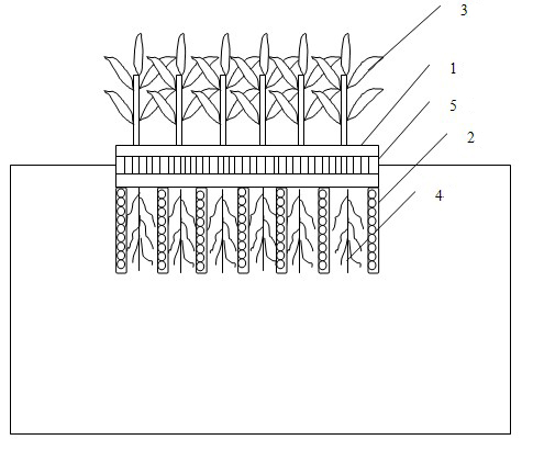 Artificial floating bed for repairing ecological environment of culture pool and realization method thereof