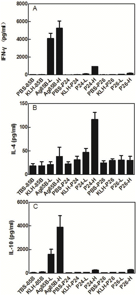 Mycobacterium tuberculosis antigen protein Rv0585c and application of T cell epitope peptide thereof