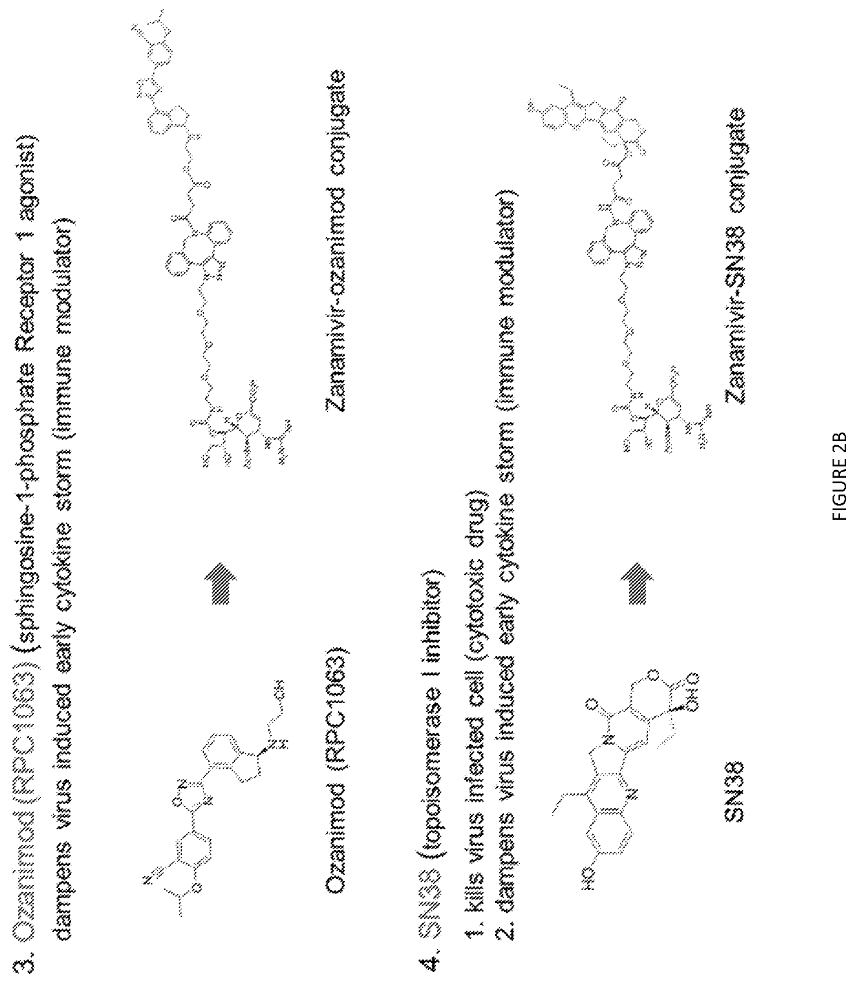 Small molecule ligand-targeted drug conjugates for Anti-influenza chemotherapy and immunotherapy