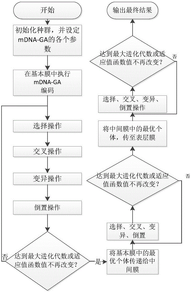 Biological film heuristic DNA genetic algorithm-based railway emergency dispatching optimization method and system