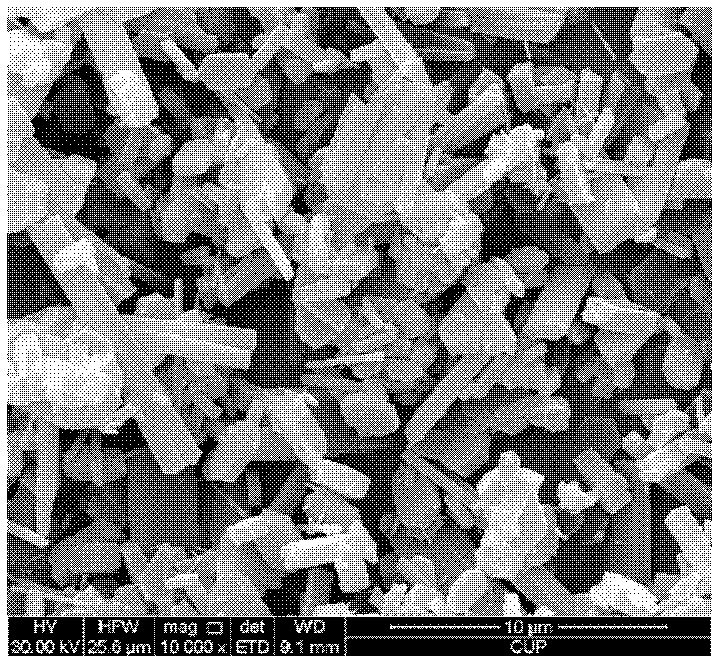 Method of in-situ crystallized synthesis of ZSM-5/mordenite compound