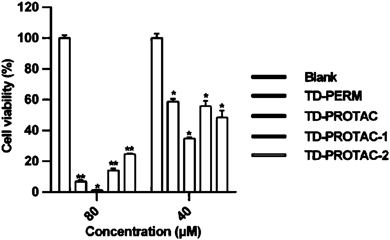 Stable polypeptide protein-targeted chimeric molecule, preparation method and application thereof