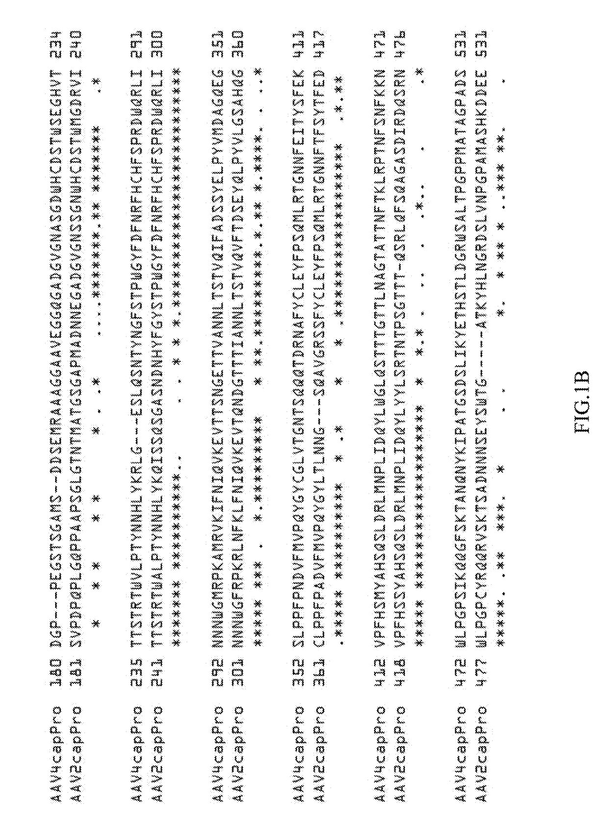 Methods for treating neurodegenerative diseases using gene therapy to delay disease onset and progression while providing cognitive protection