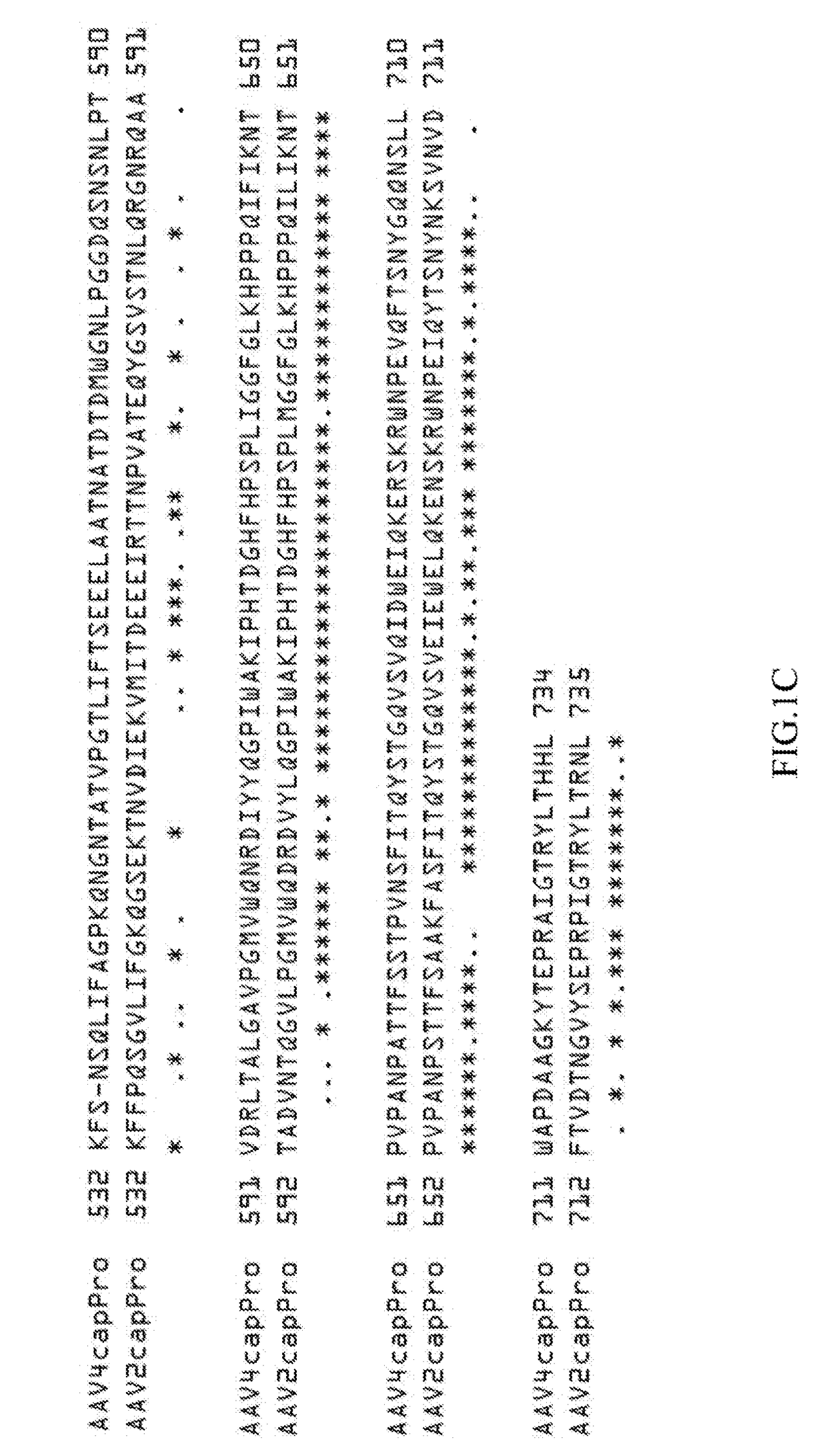 Methods for treating neurodegenerative diseases using gene therapy to delay disease onset and progression while providing cognitive protection