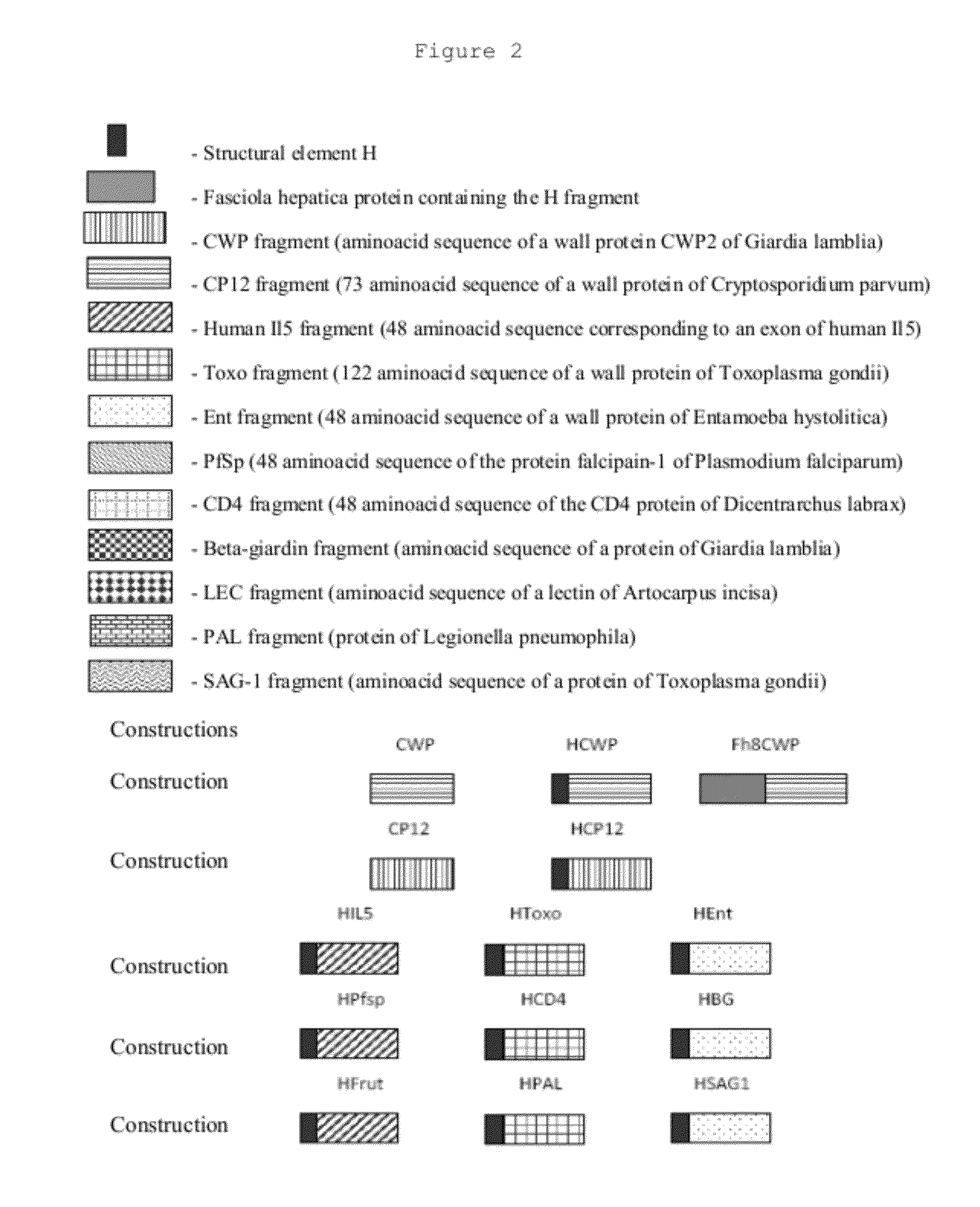 Immunogens, compositons and uses thereof, method for preparing same