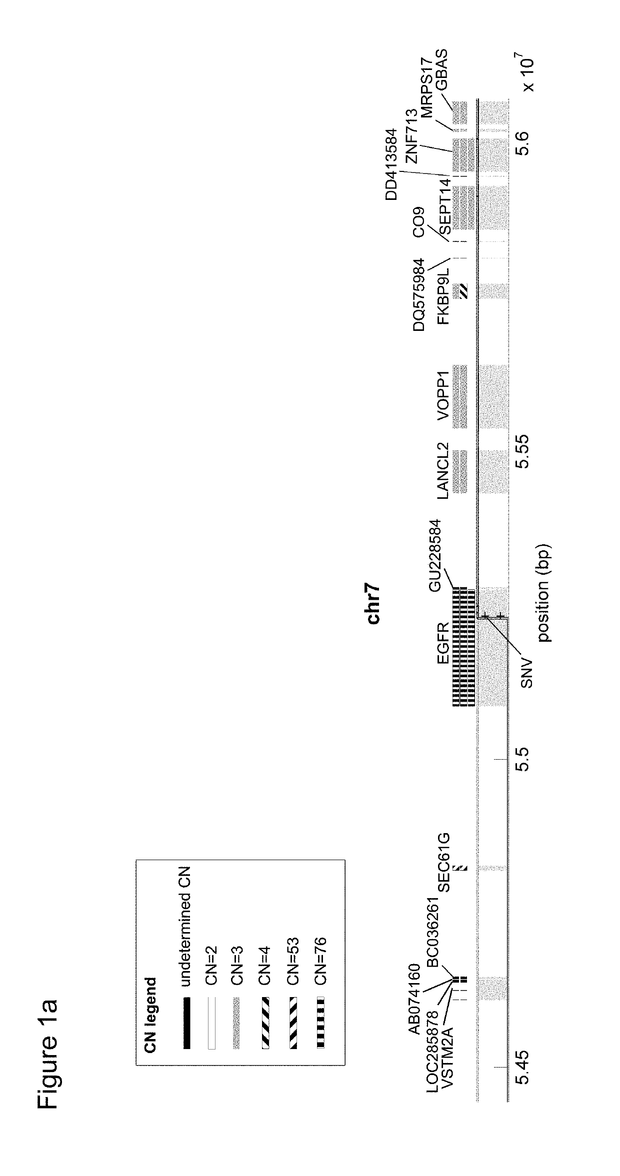 Selecting Neoepitopes as Disease-Specific Targets for Therapy with Enhanced Efficacy