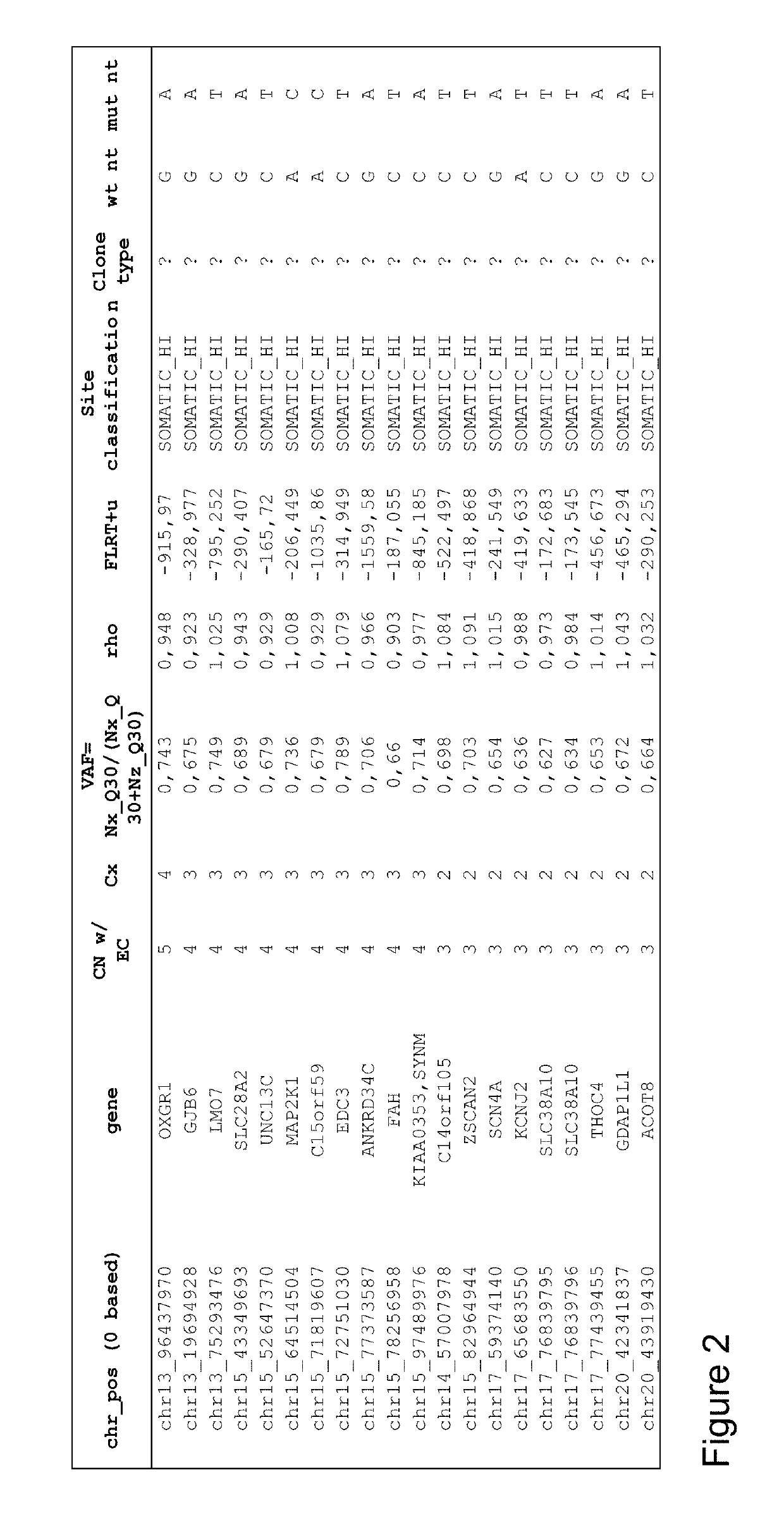 Selecting Neoepitopes as Disease-Specific Targets for Therapy with Enhanced Efficacy