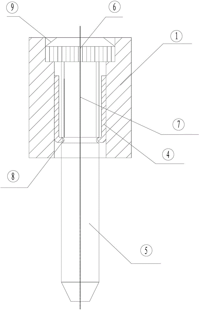 Rivet type bolt