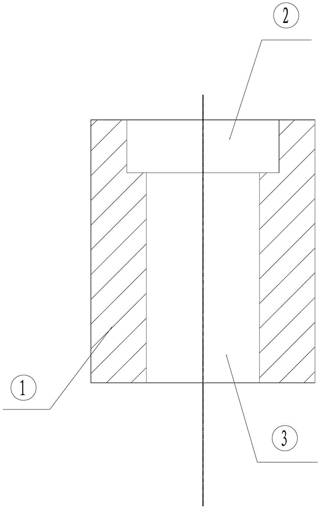 Rivet type bolt