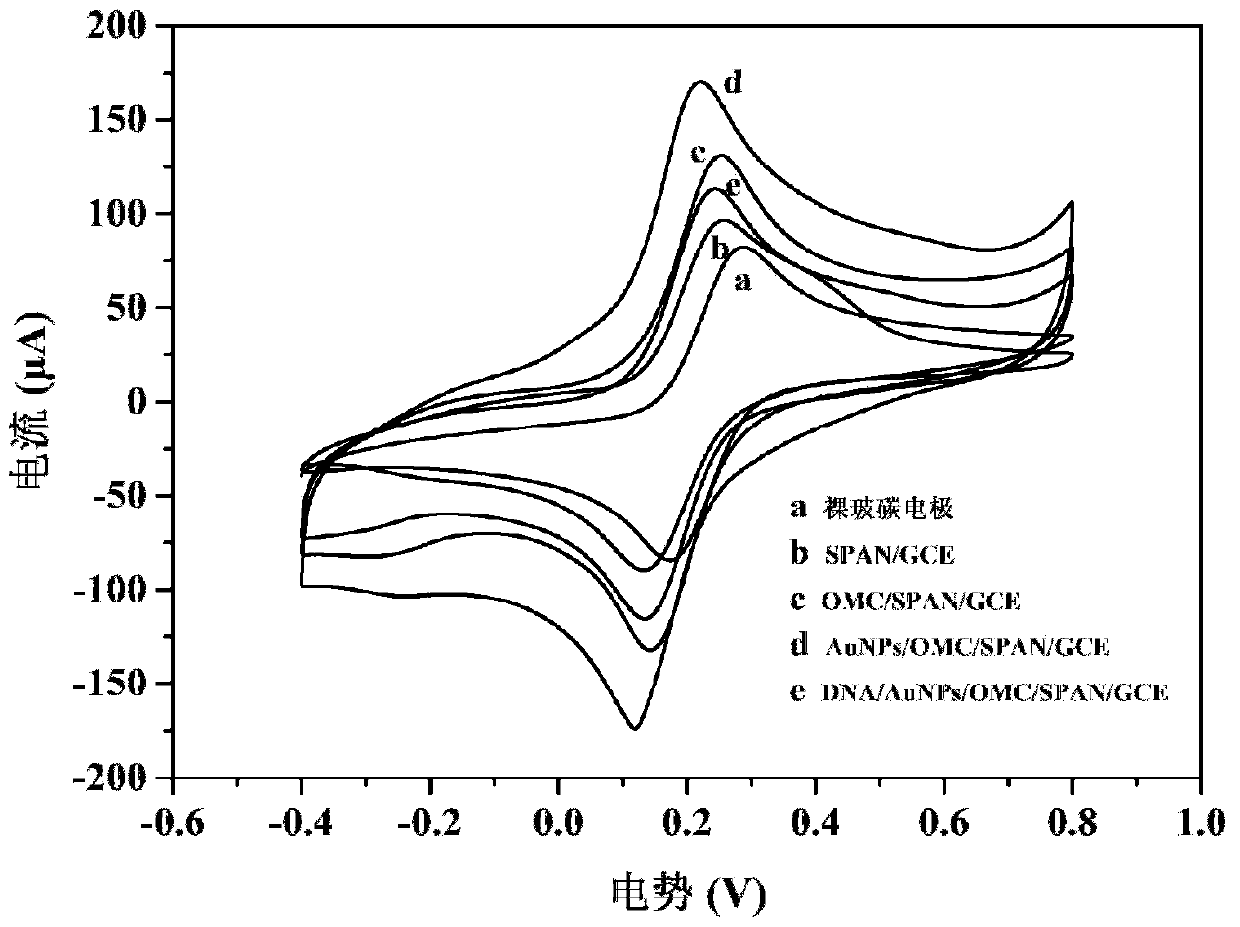 Electrochemical DNA sensor for detecting mercury ion or cysteine, preparation method and application thereof