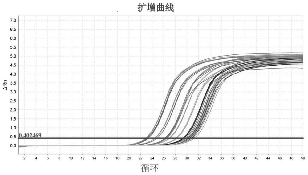 Quantitative PCR primer for soybean E2/GIGANTEA homologous gene and application of quantitative PCR primer