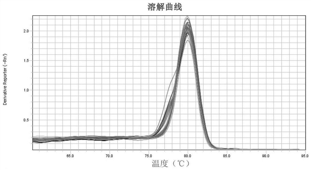 Quantitative PCR primer for soybean E2/GIGANTEA homologous gene and application of quantitative PCR primer