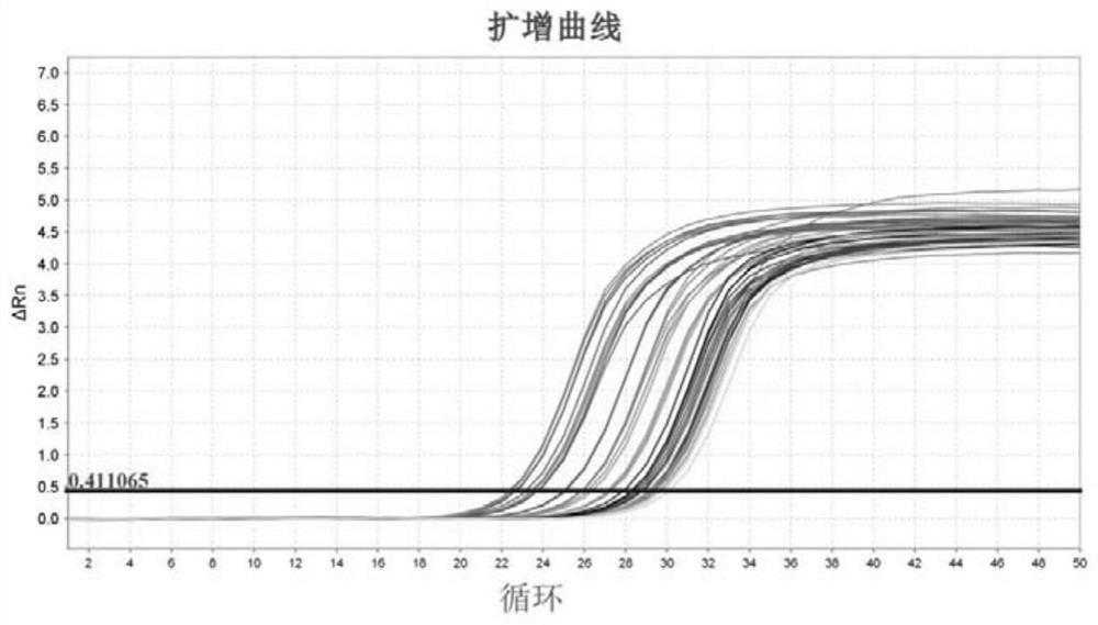 Quantitative PCR primer for soybean E2/GIGANTEA homologous gene and application of quantitative PCR primer