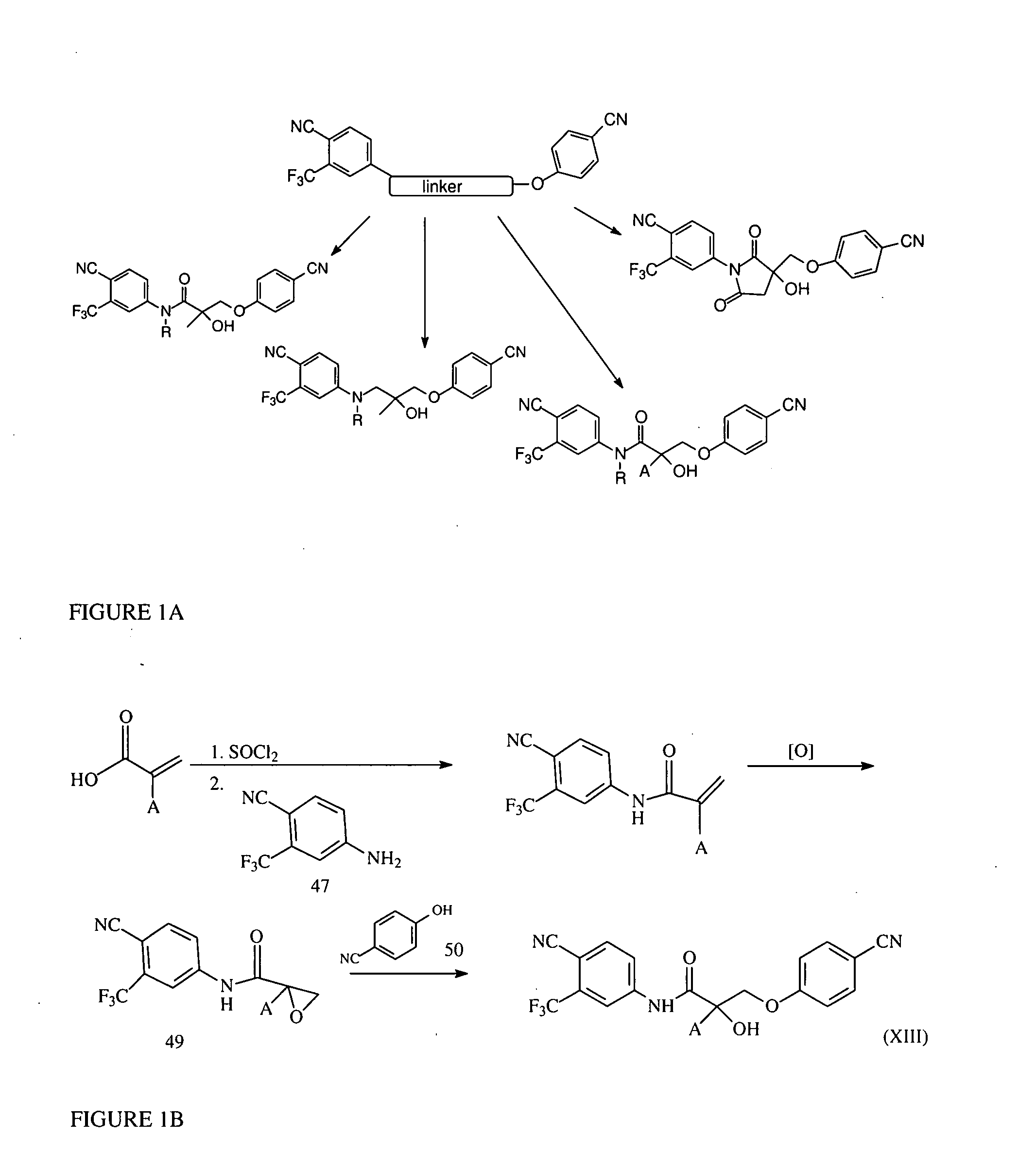 Selective androgen receptor modulators, analogs and derivatives thereof and uses thereof