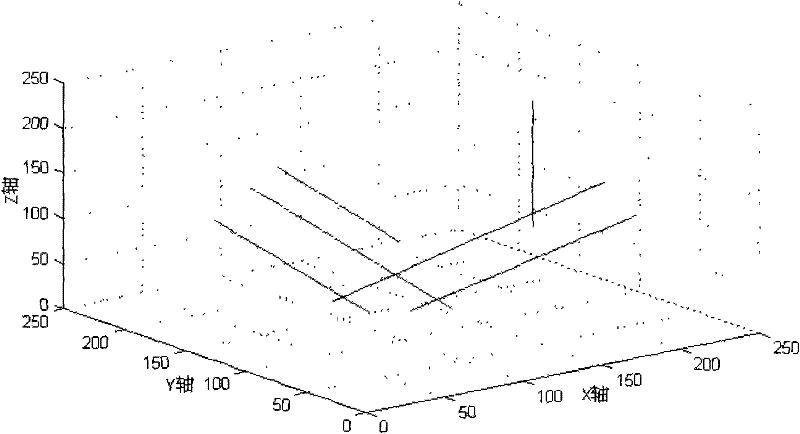 Method for three-dimensional reconstruction of straight-line optical flow field based on intelligent optimization algorithm