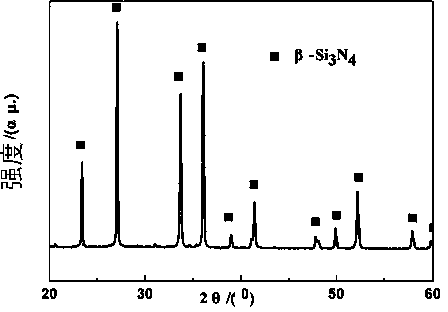 Porous silicon nitride ceramic and production method thereof