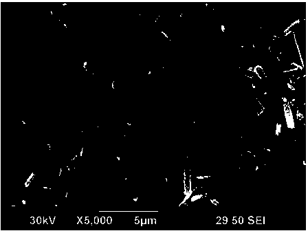 Porous silicon nitride ceramic and production method thereof