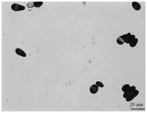 Saccharomyces cerevisiae strain fm-s-4 improving the color stability of fruit wine and its application