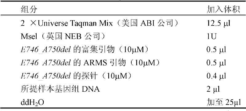 Method for detecting exon 19 deletion mutation and exon 21 point mutation of epidermal growth factor receptor gene