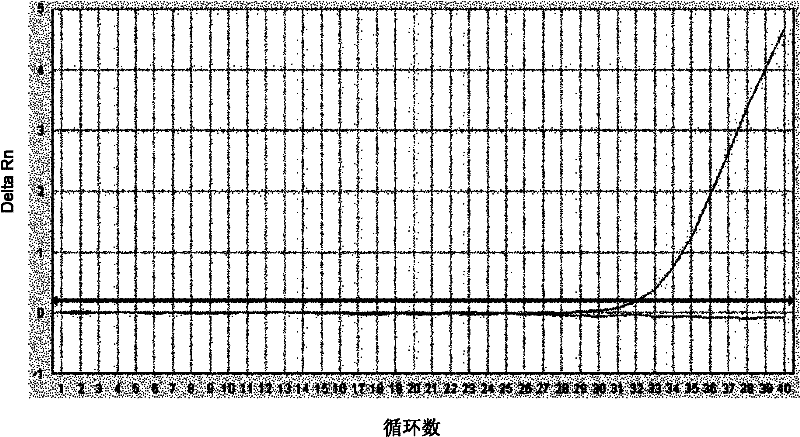 Method for detecting exon 19 deletion mutation and exon 21 point mutation of epidermal growth factor receptor gene