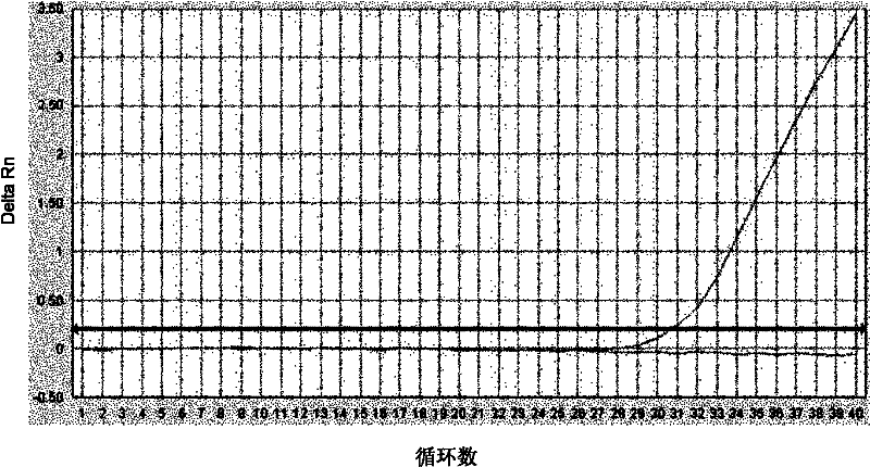 Method for detecting exon 19 deletion mutation and exon 21 point mutation of epidermal growth factor receptor gene