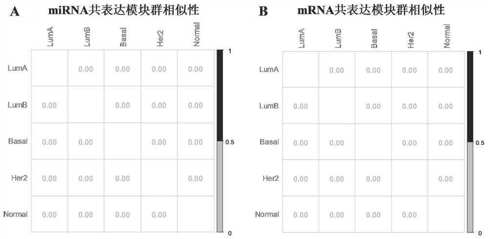 Similarity measurement method and device of gene module group, electronic equipment and storage medium