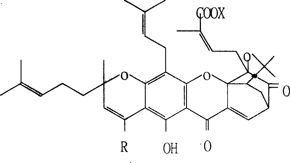 Salt of gambogicacid class compound, its preparation method, and medication combination with salt as active ingredient