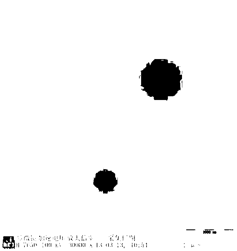 Preparation method of agarose immune magnetic microspheres and applications thereof